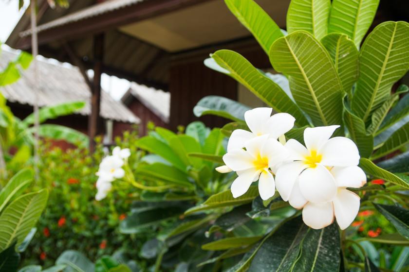 Weekender Bungalow Ламаи-Бич Экстерьер фото